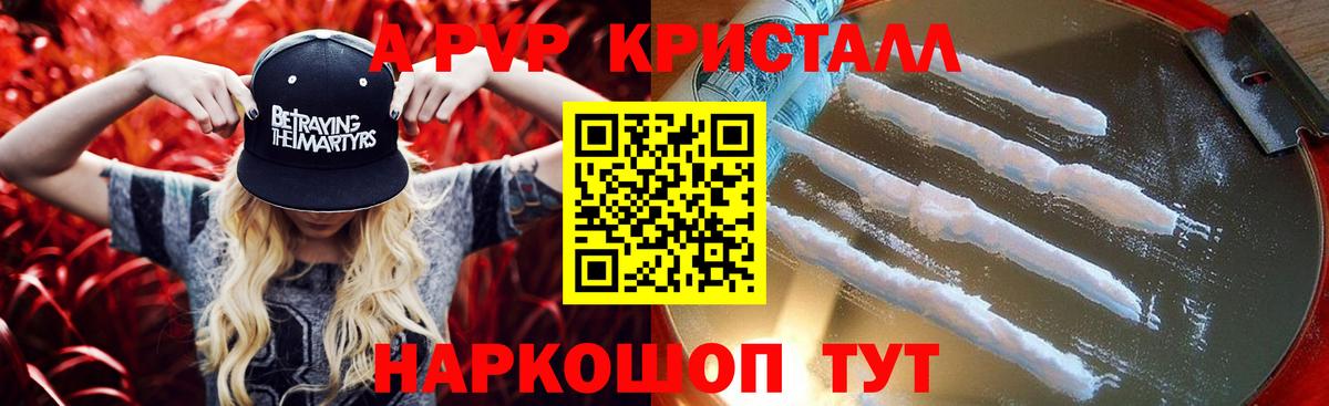 Хабаровск  APVP СК КРИС  Вход с VPN 