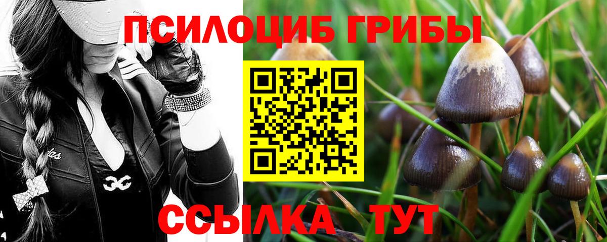 Хабаровск  Галлюциногенные грибы ЛСД  Вход с VPN 
